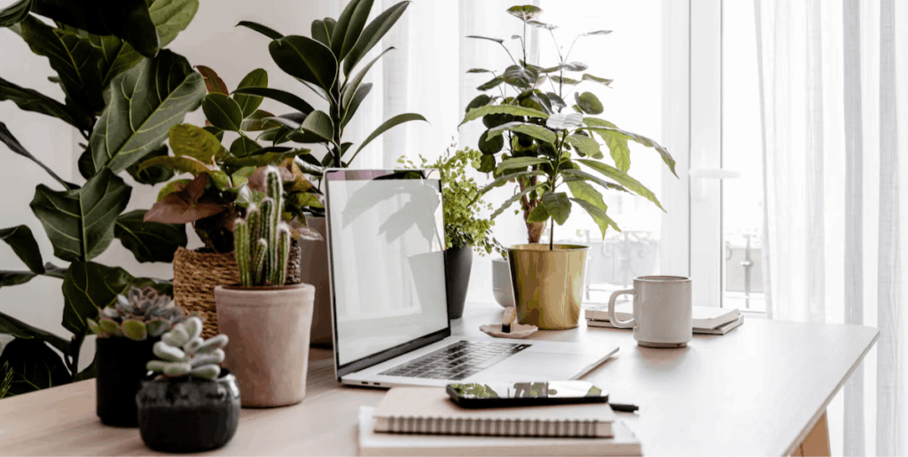 The plant library at BrightWorks