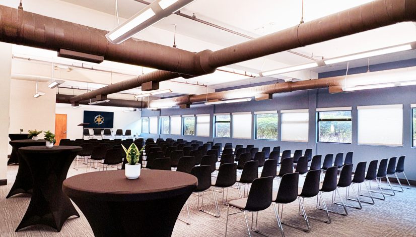 DaVinci15 Edited Website Version