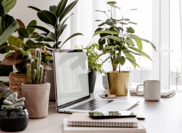 The plant library at BrightWorks